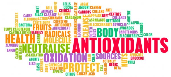 What do antioxidants do to the body?
