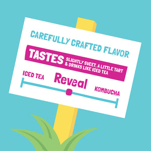 Reveal - Avocado seed Brew - Rose Mint Flavor - 12 pack